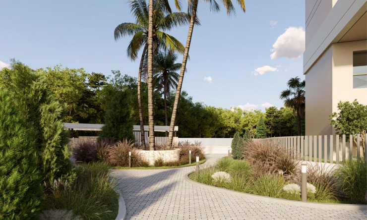 Neue Gebäude - Penthouse -
Calpe