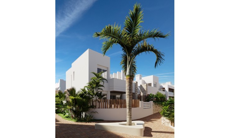Nieuwbouw Woningen -  -
San Juan de los Terreros
