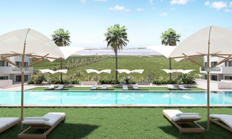 Nowe budownictwo -  -
Torrevieja