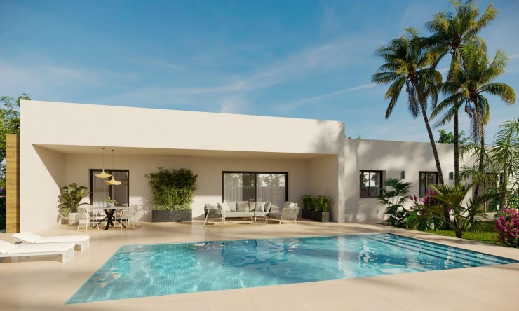 Nueva construcción  -  -
Aspe