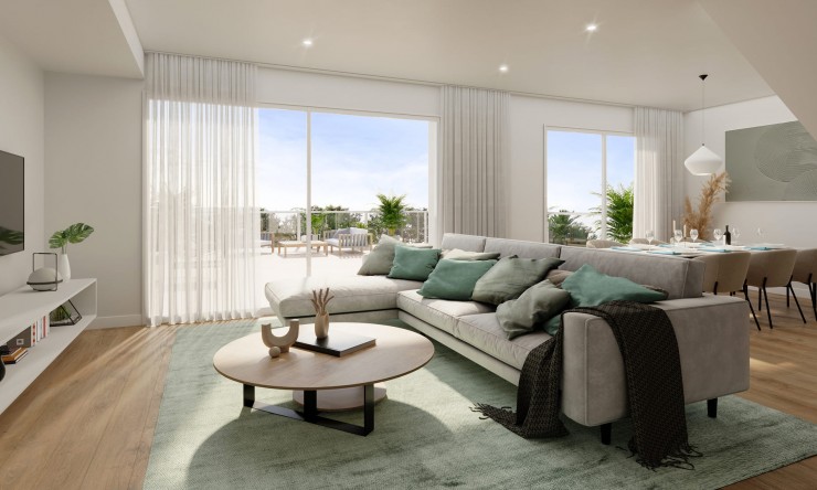 Nueva construcción  -  -
Monforte del Cid