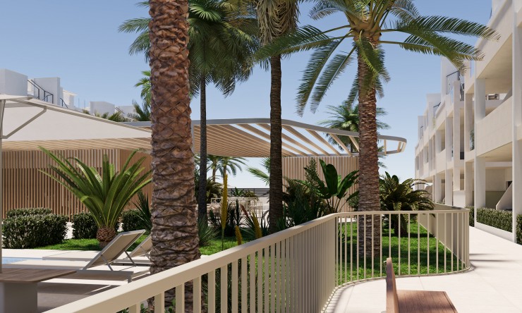 Nouvelle construction - Appartement -
Torre-Pacheco