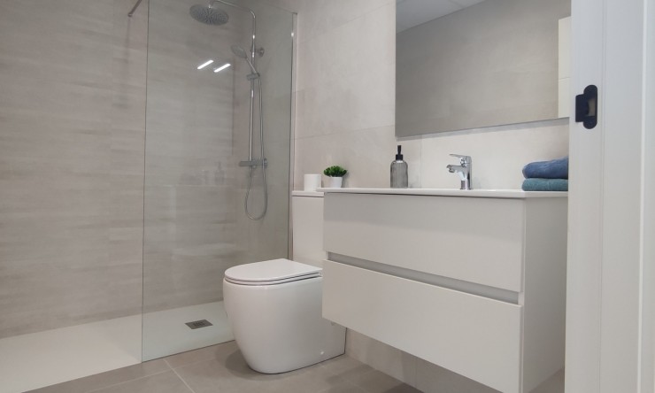 New Build - detached -
Balsicas