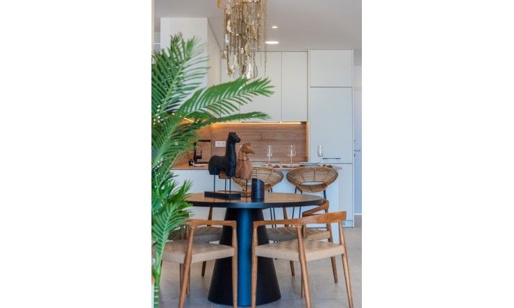 Neue Gebäude - Penthouse -
Benijofar