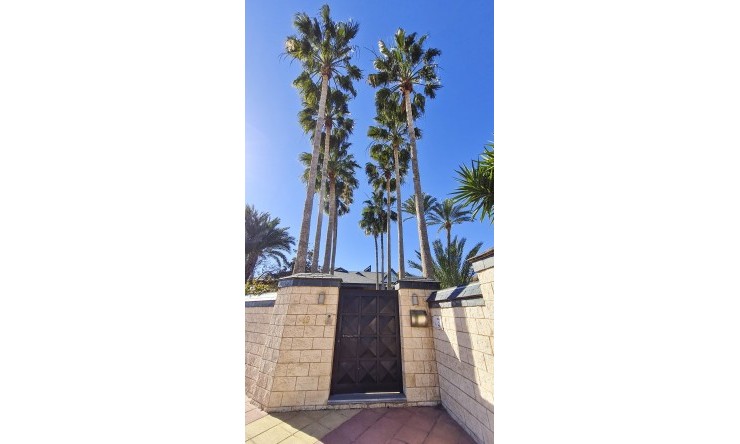 Nouvelle construction - Villa -
San Pedro del Pinatar