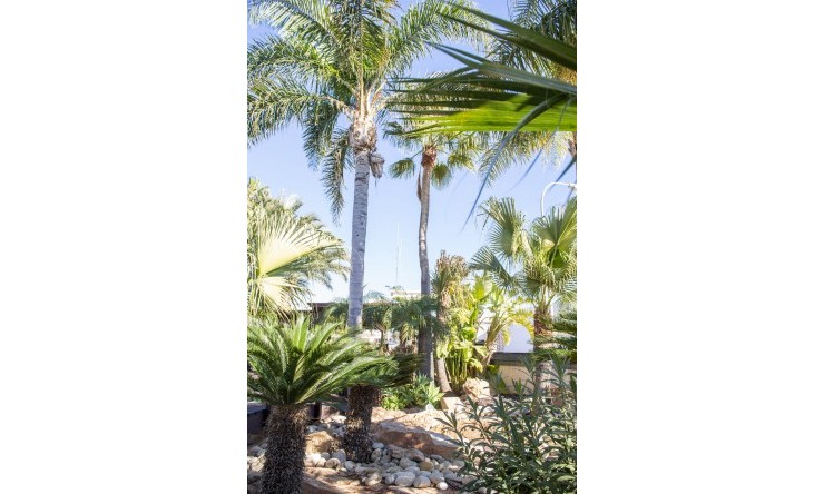 Nouvelle construction - Villa -
San Pedro del Pinatar