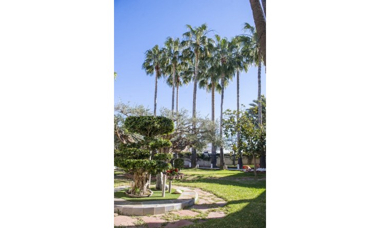Nouvelle construction - Villa -
San Pedro del Pinatar