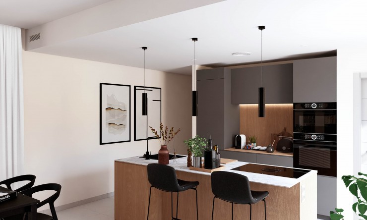 New Build - detached -
Banos Y Mendigo