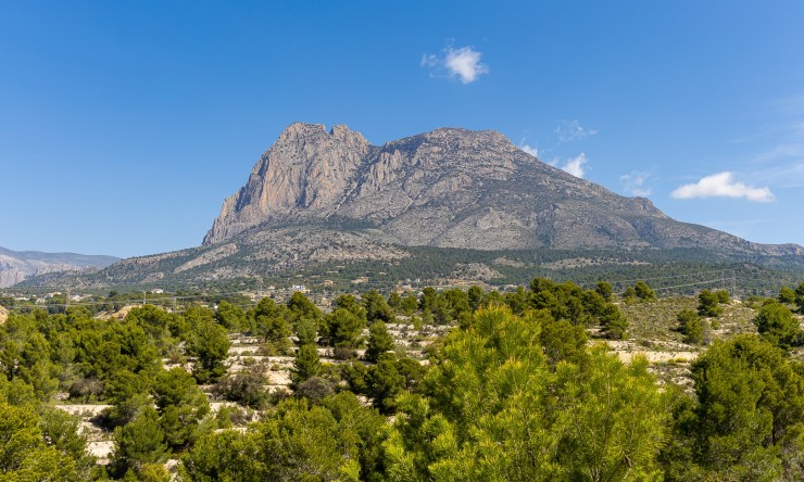Neue Gebäude -  -
Finestrat