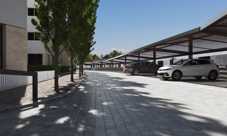 New Build - Apartment -
Santa Rosalia