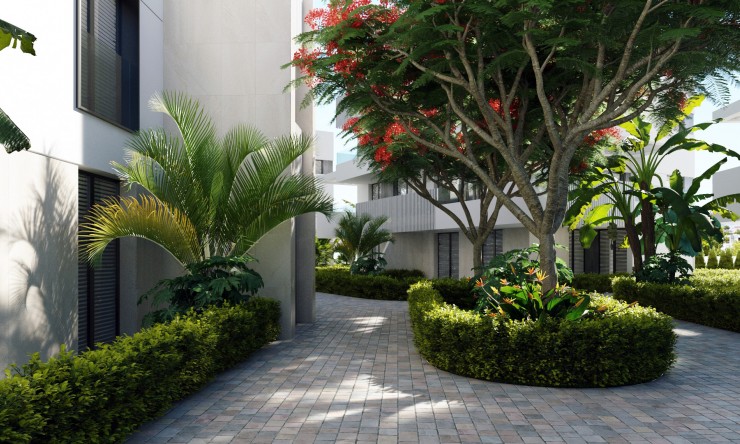 New Build - Apartment -
Santa Rosalia