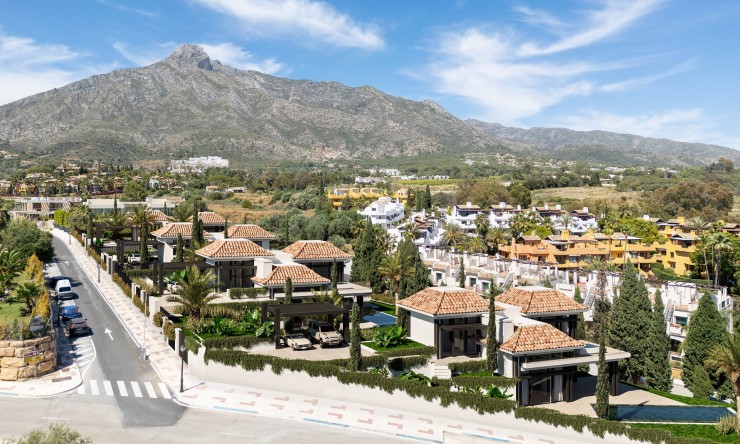 Nowe budownictwo - Willa -
