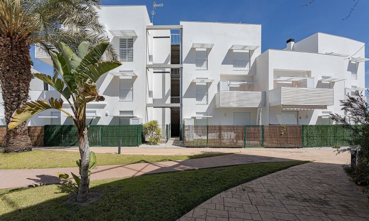 Nowe budownictwo - Apartament -
Vera