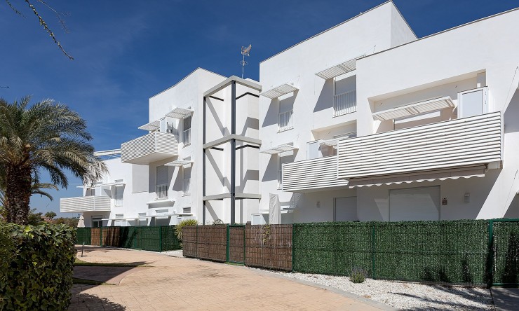 Nowe budownictwo - Apartament -
Vera