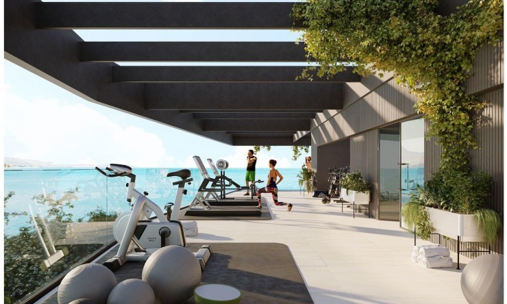 Nouvelle construction - Appartement -
Málaga