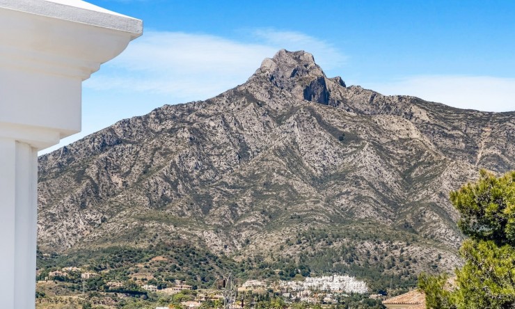 Nowe budownictwo - Willa -
