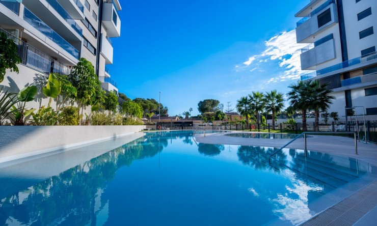 Rynek Wtórny - Penthouse -
Campoamor