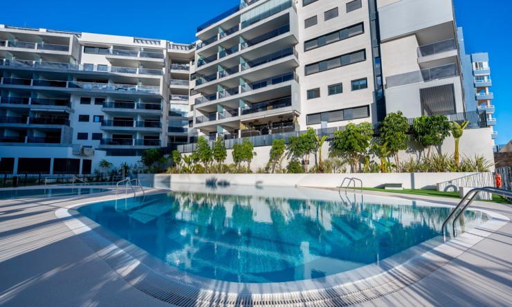 Rynek Wtórny - Penthouse -
Campoamor