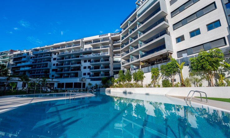 Rynek Wtórny - Penthouse -
Campoamor