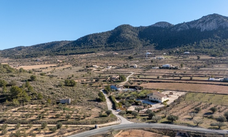 Rynek Wtórny - Finca -
La Zarza