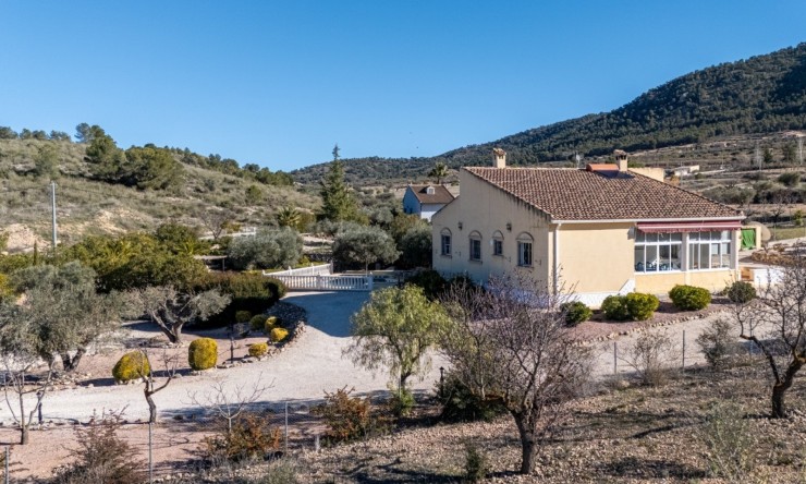 Rynek Wtórny - Finca -
La Zarza