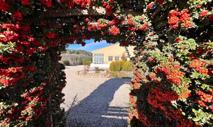 Rynek Wtórny - Finca -
La Zarza