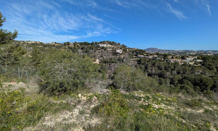 Rynek Wtórny -  -
Benissa