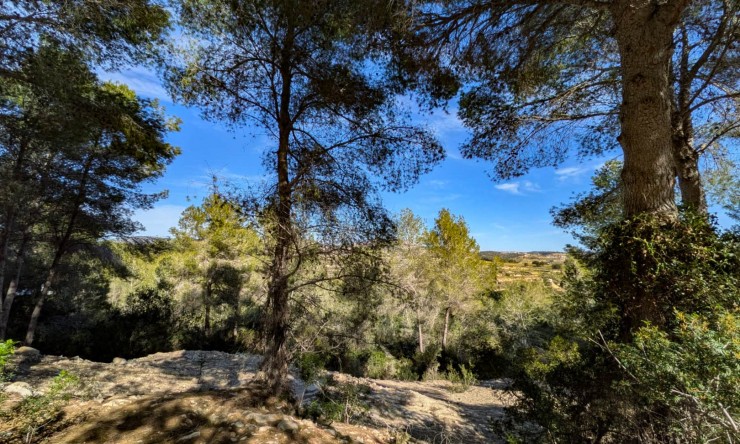 Resale - Land -
Moraira - Benimeit