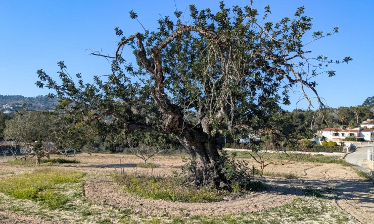 Resale - Villa -
Jávea - Las Laderas