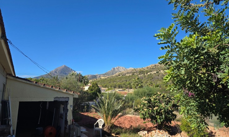 Long Term Rental - detached -
Alfaz del Pi