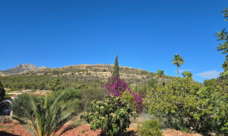 Long Term Rental - detached -
Alfaz del Pi