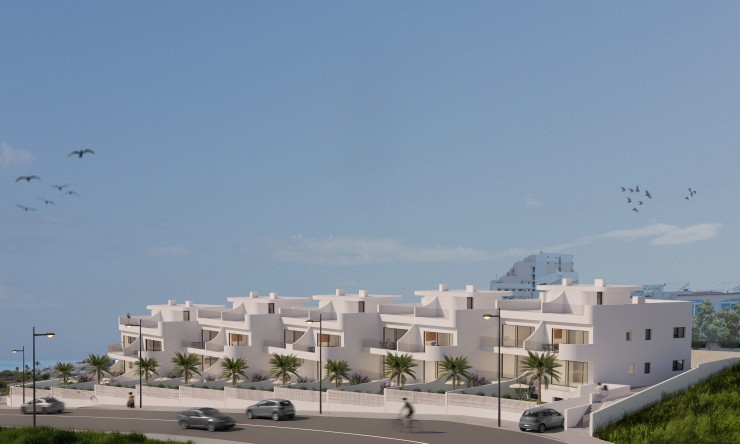 New Build - Apartment -
La Mata
