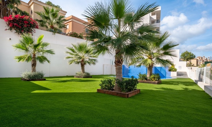 Revente - Appartement -
Orihuela Costa