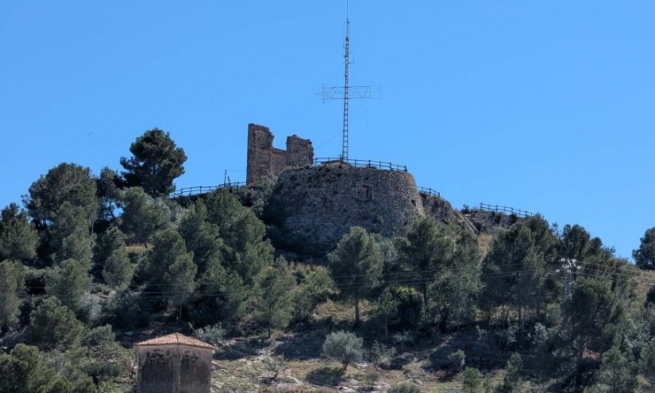 Rynek Wtórny -  -
Oliva