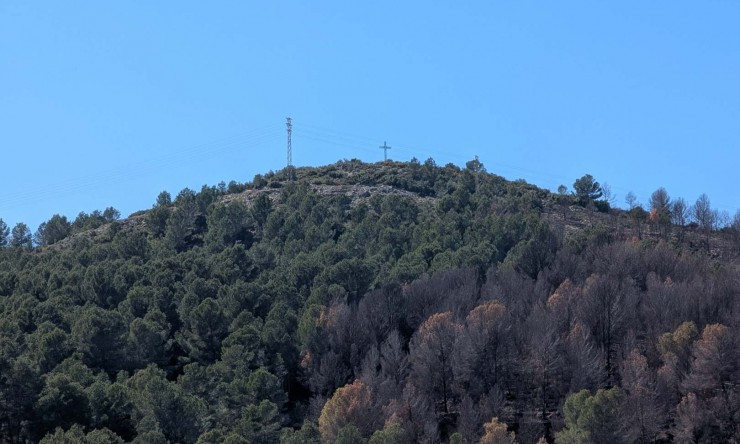 Rynek Wtórny -  -
Oliva