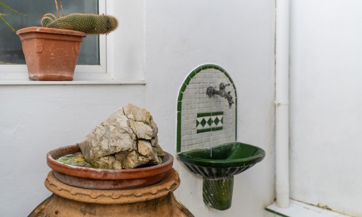 Rynek Wtórny -  -
Oliva