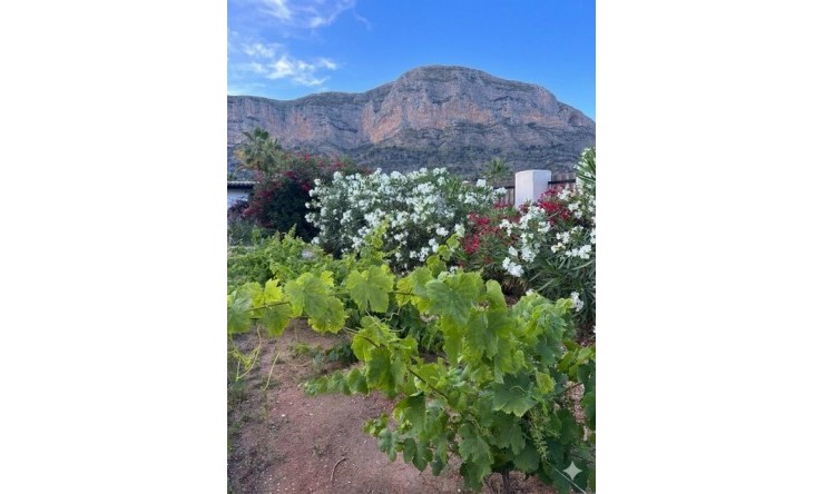 Resale - Villa -
Jávea / Xàbia - Montgó - Ermita