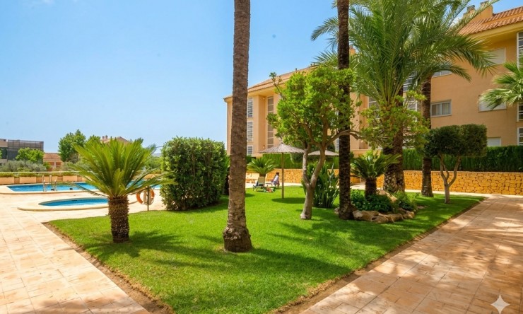 Resale - Apartment -
Jávea / Xàbia - Puerto