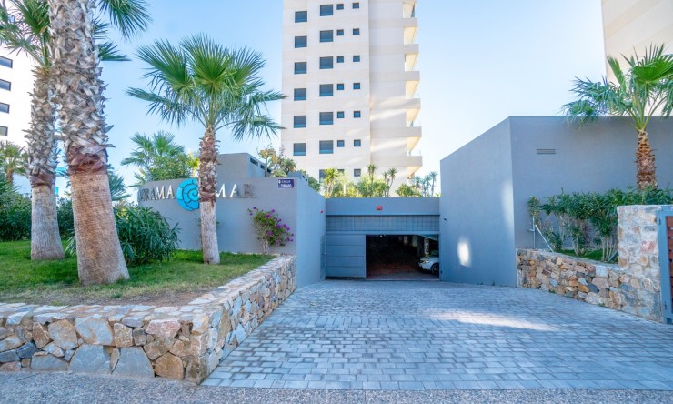 Rynek Wtórny - Penthouse -
Torrevieja