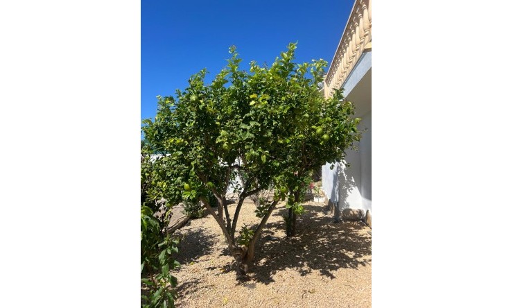 Resale - Villa -
Moraira - Pinar del Advocat - Cometa