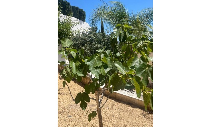 Resale - Villa -
Moraira - Pinar del Advocat - Cometa