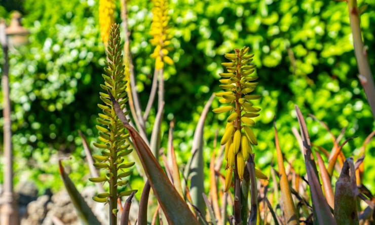 Reventa - Villa -
Jávea - Senioles