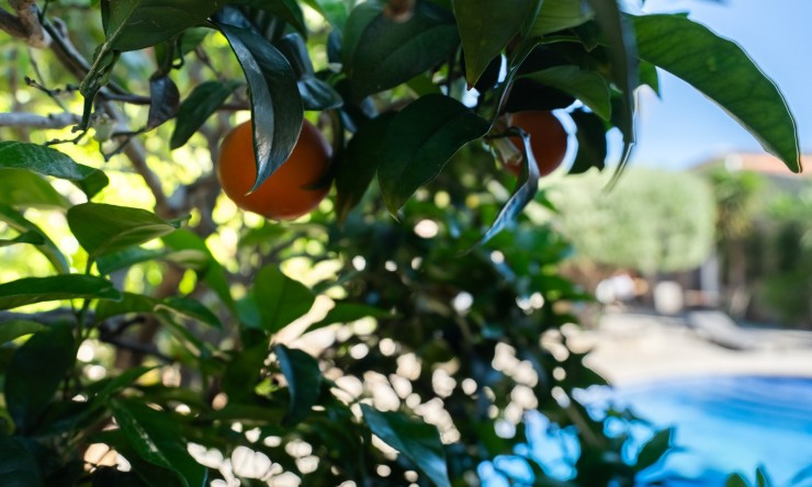 Reventa - Villa -
Jávea - Senioles