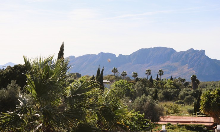 Reventa - Villa -
Pedreguer