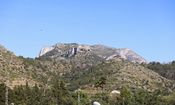 Reventa - Villa -
Pedreguer