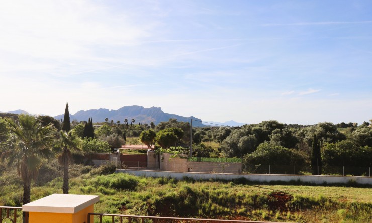 Reventa - Villa -
Pedreguer