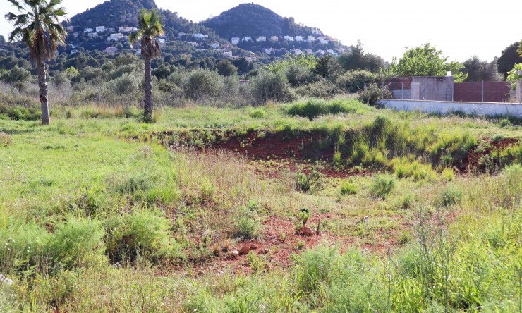 Reventa - Villa -
Pedreguer