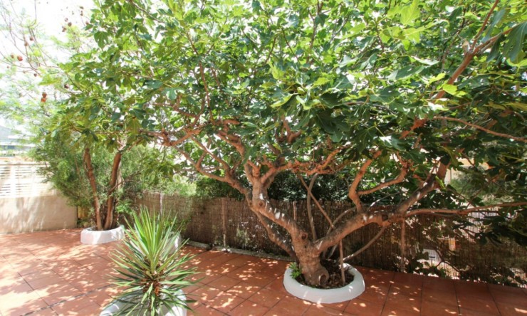 Revente - Villa -
Calpe - Manzanera