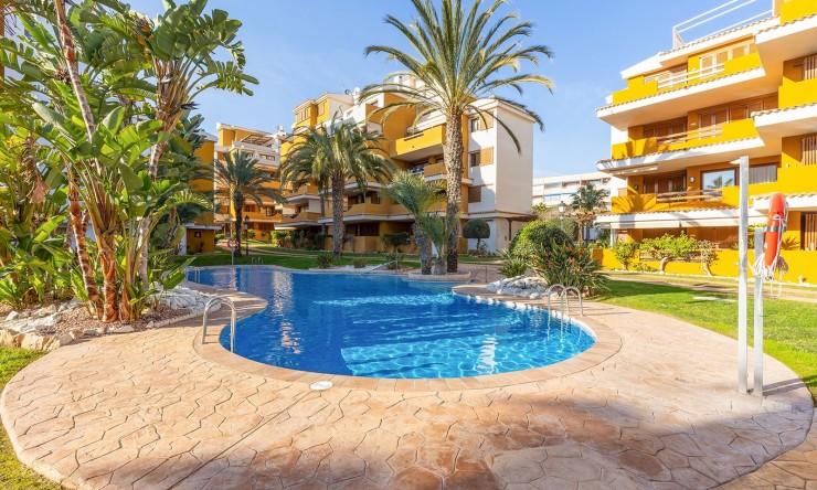 Revente - Appartement -
Torrevieja