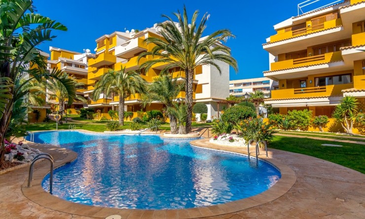 Revente - Appartement -
Torrevieja
